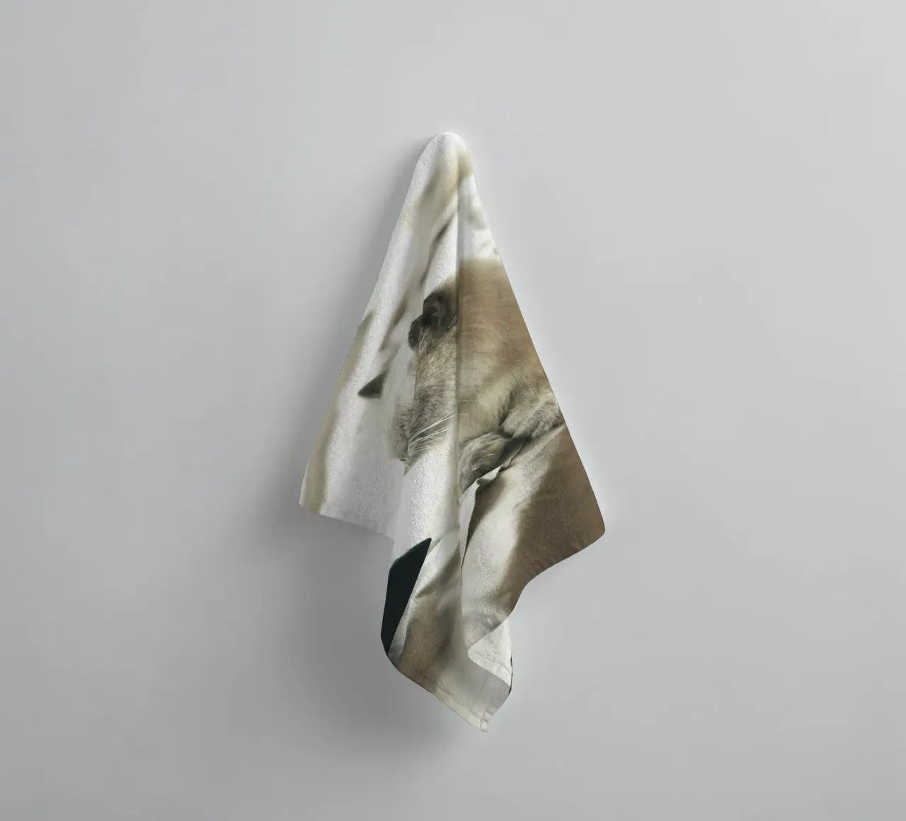 sunlight cat resting towel by animal story home