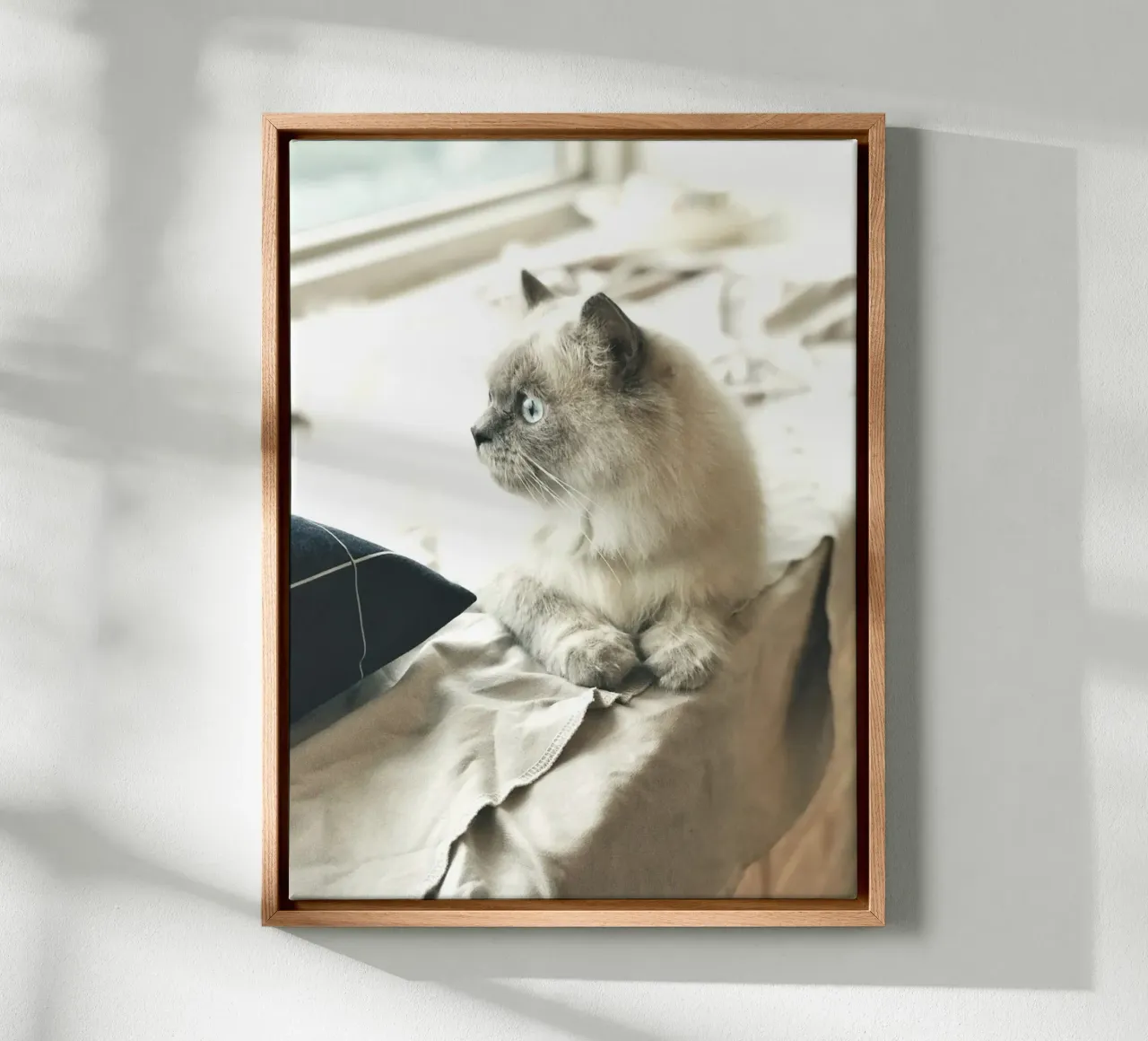 sunlight cat resting canvas by animal story home