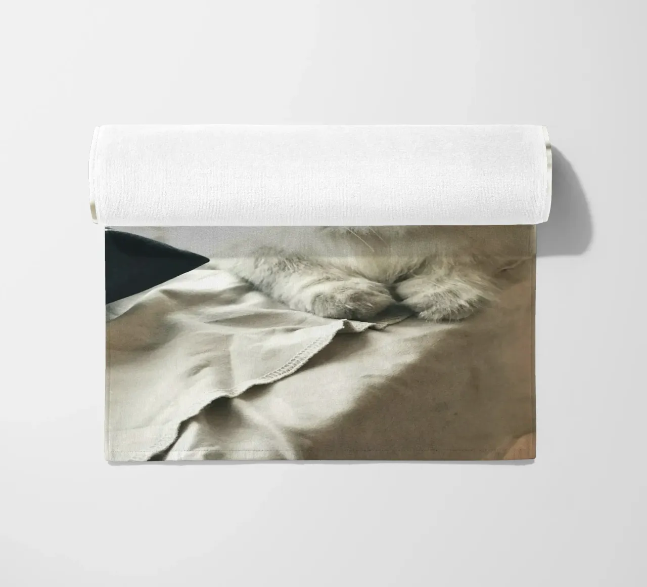 sunlight cat resting beach towel by animal story home