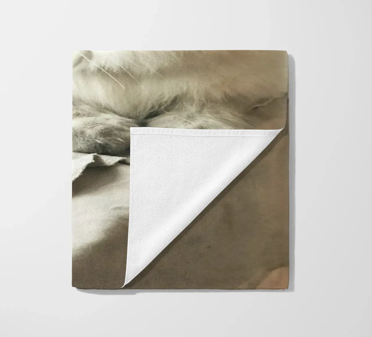 sunlight cat resting beach towel by animal story home