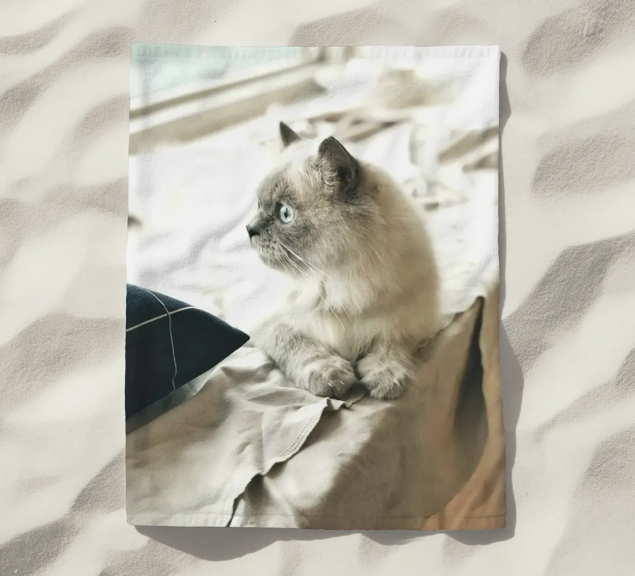 sunlight cat resting beach towel by animal story home