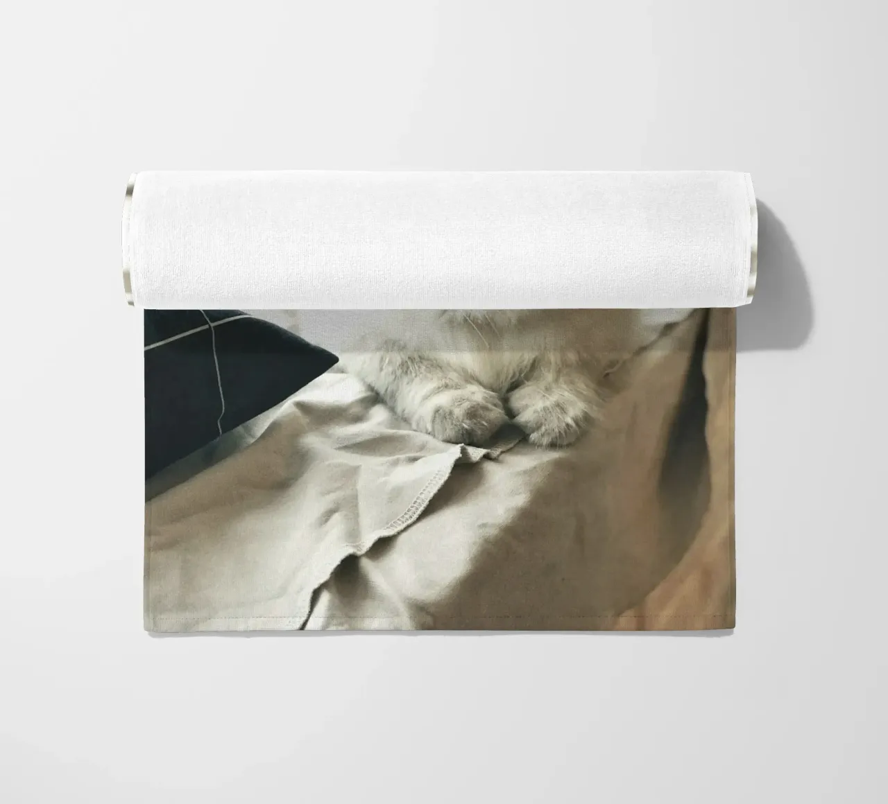 sunlight cat resting beach towel by animal story home