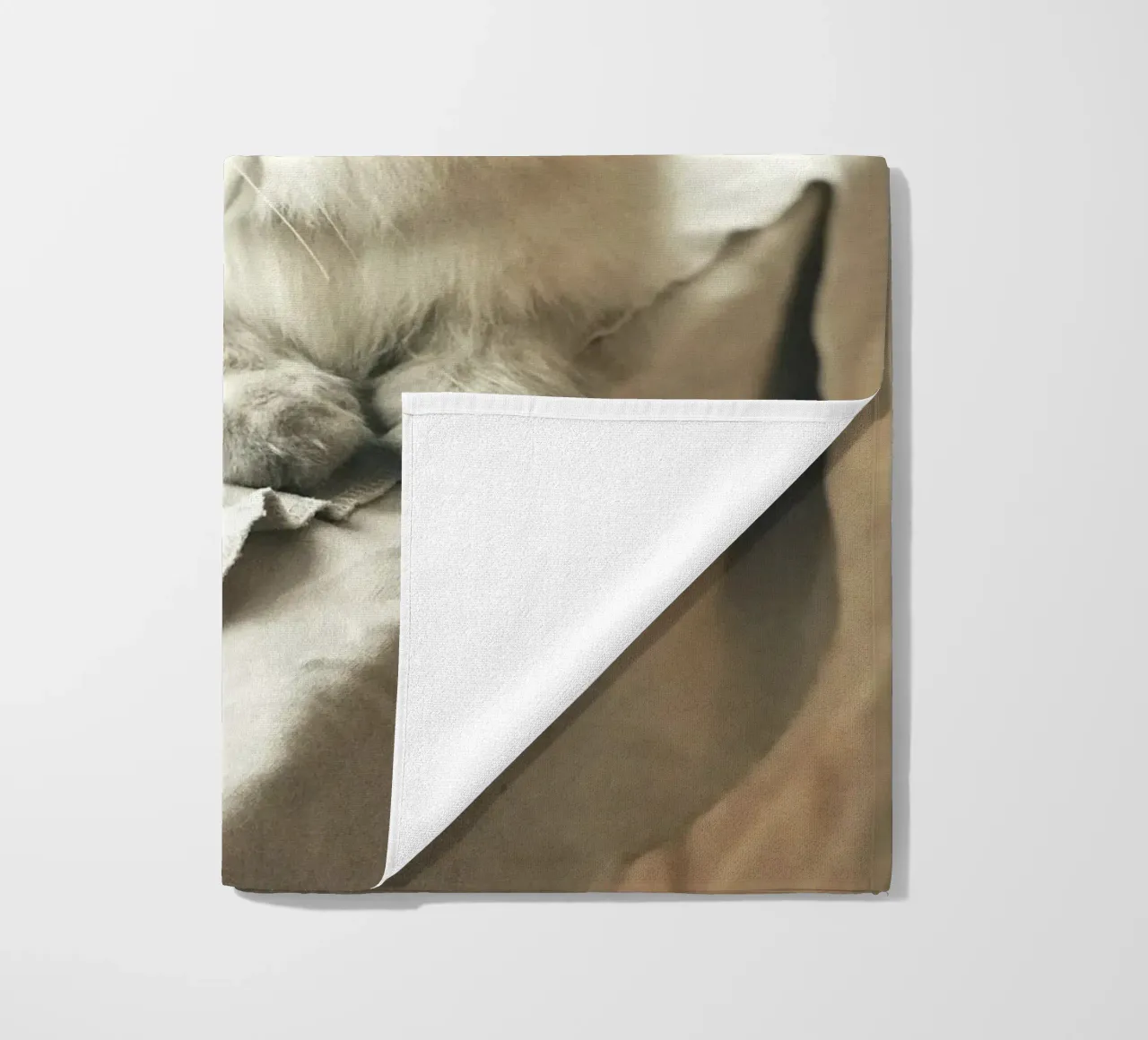 sunlight cat resting beach towel by animal story home