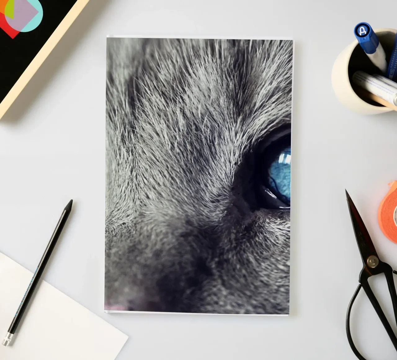 whisker line cat notebook by animal story home