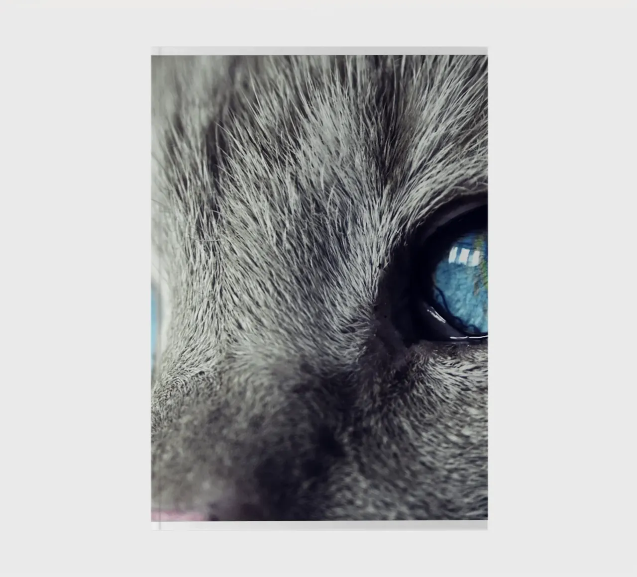 whisker line cat notebook by animal story home
