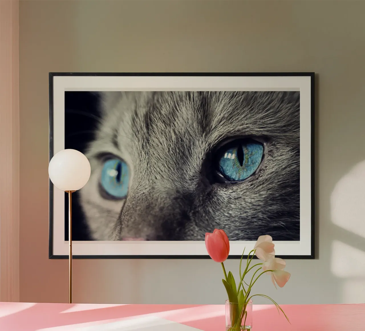 gatto baffuto poster da animal story home