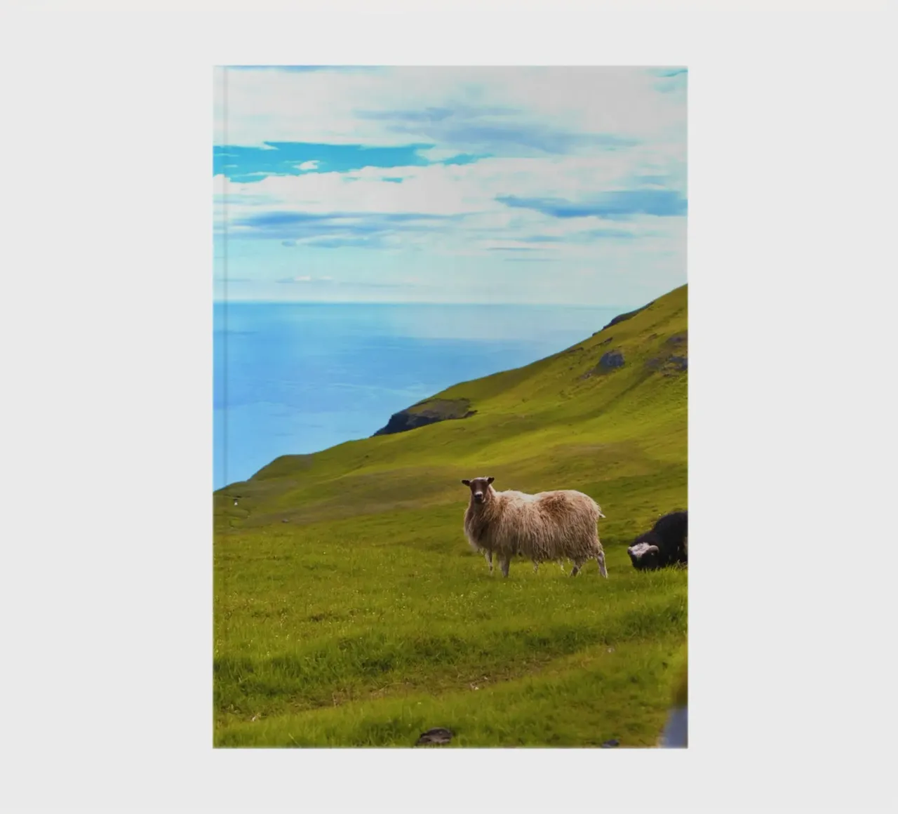 sheep ocean grass hillside notebook by animal story home