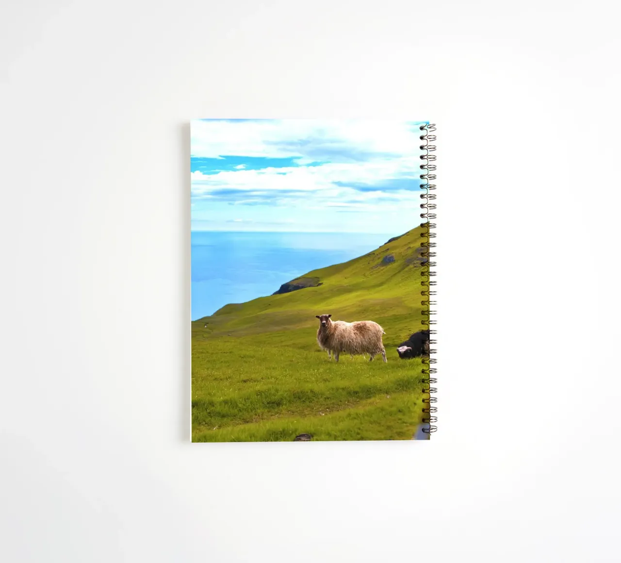 sheep ocean grass hillside spiral notebook by animal story home