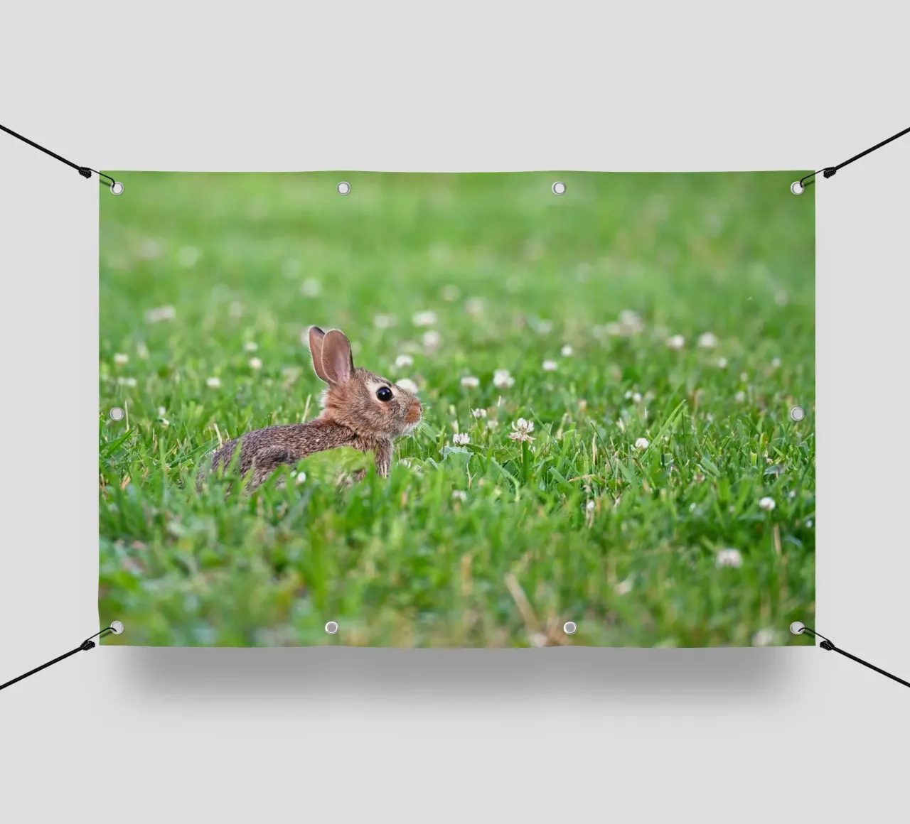 trifoglio di coniglio telo in pvc da animal story home