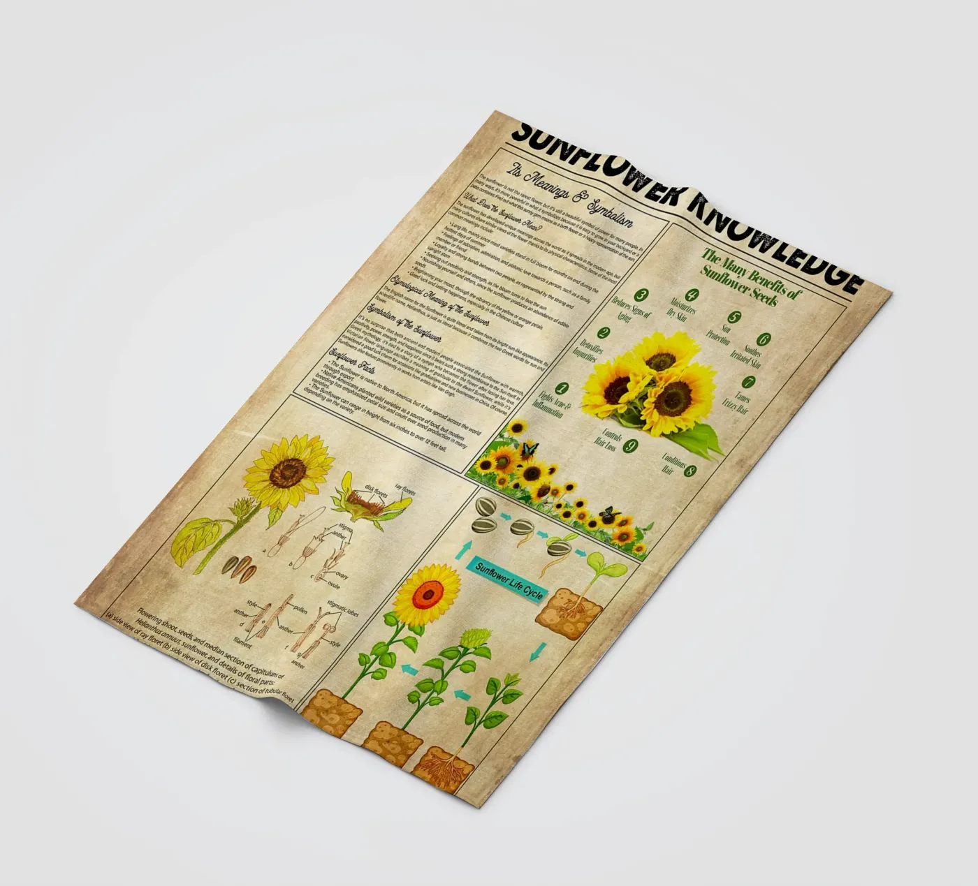 Sunflower Knowledge fleece blanket by Maritiknowled