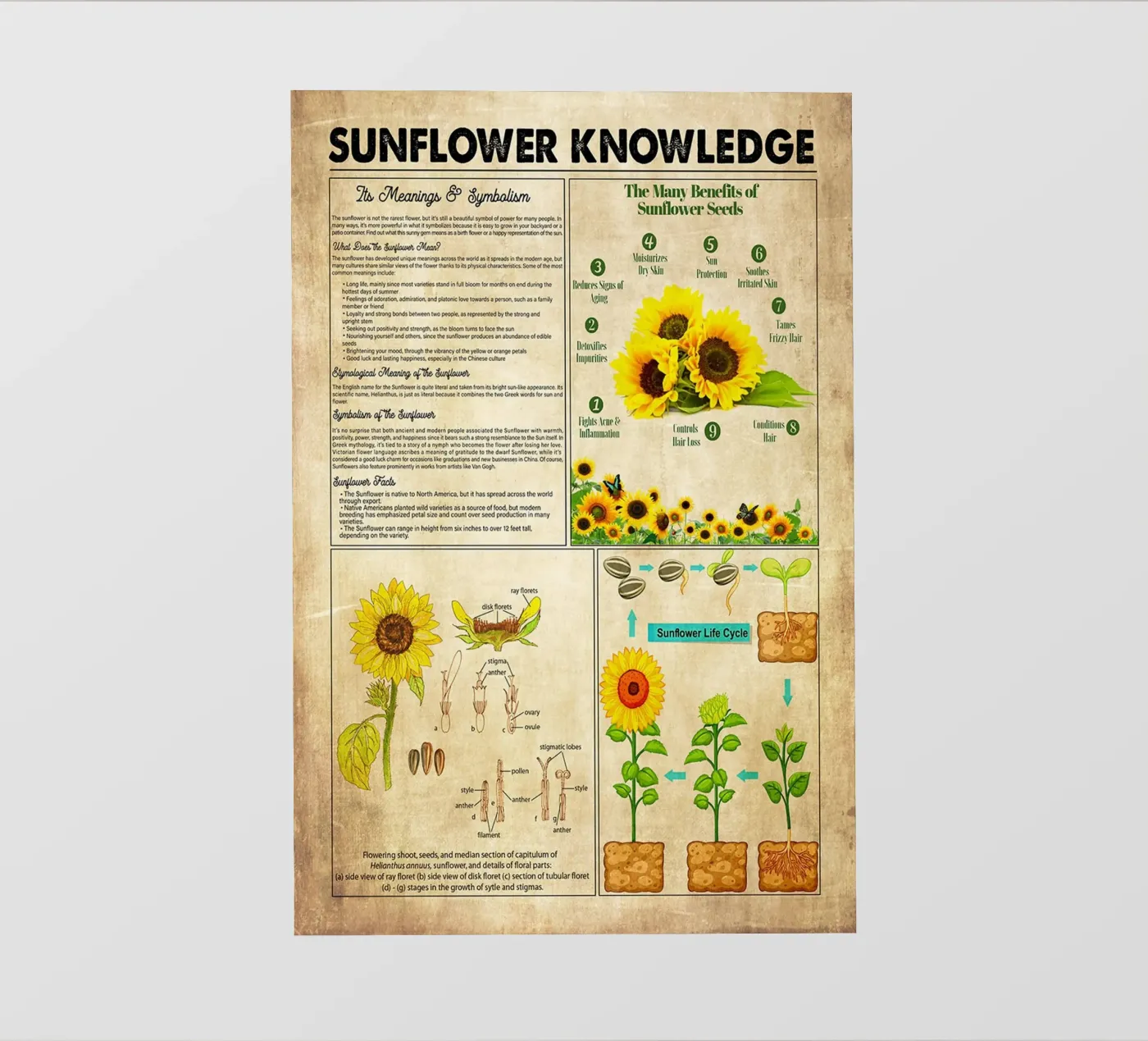 Sunflower Knowledge pvc cover by Maritiknowled