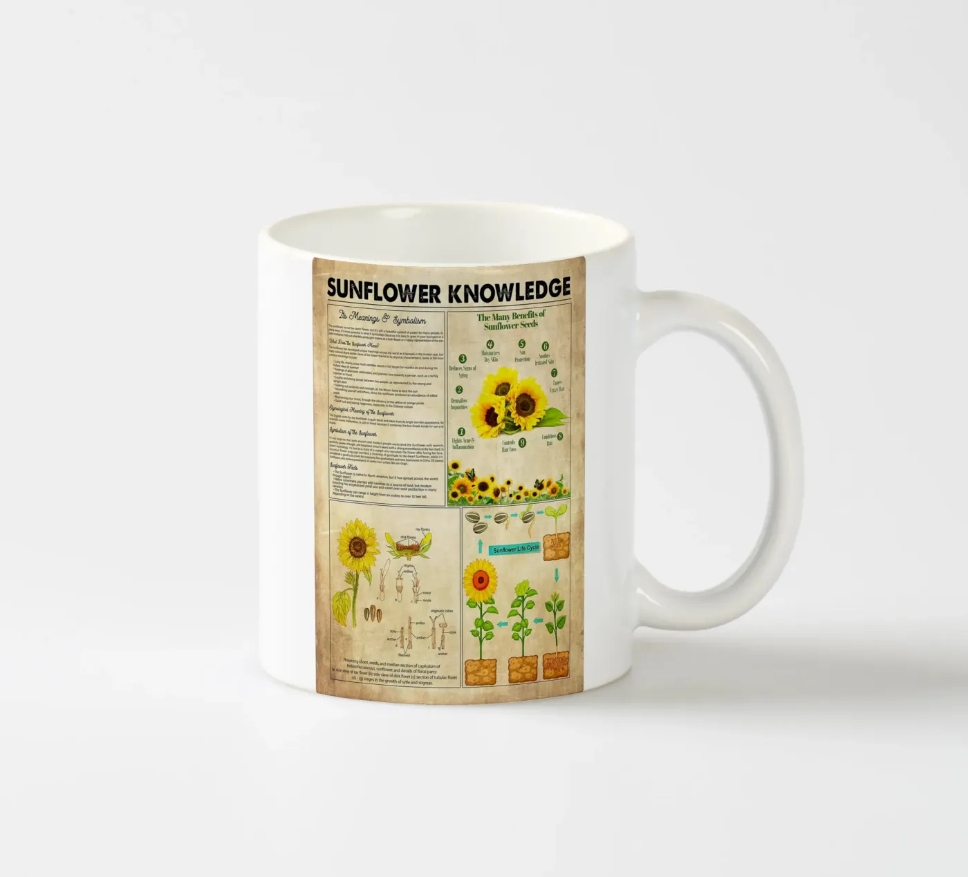 Sunflower Knowledge ceramic mug by Maritiknowled
