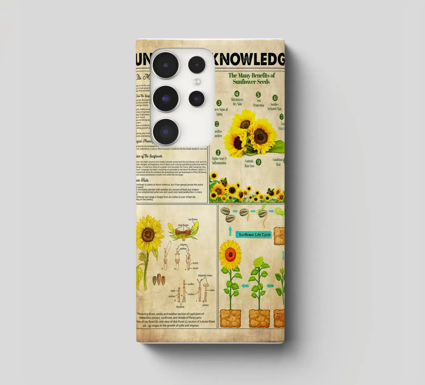 Sunflower Knowledge cover samsung da Maritiknowled
