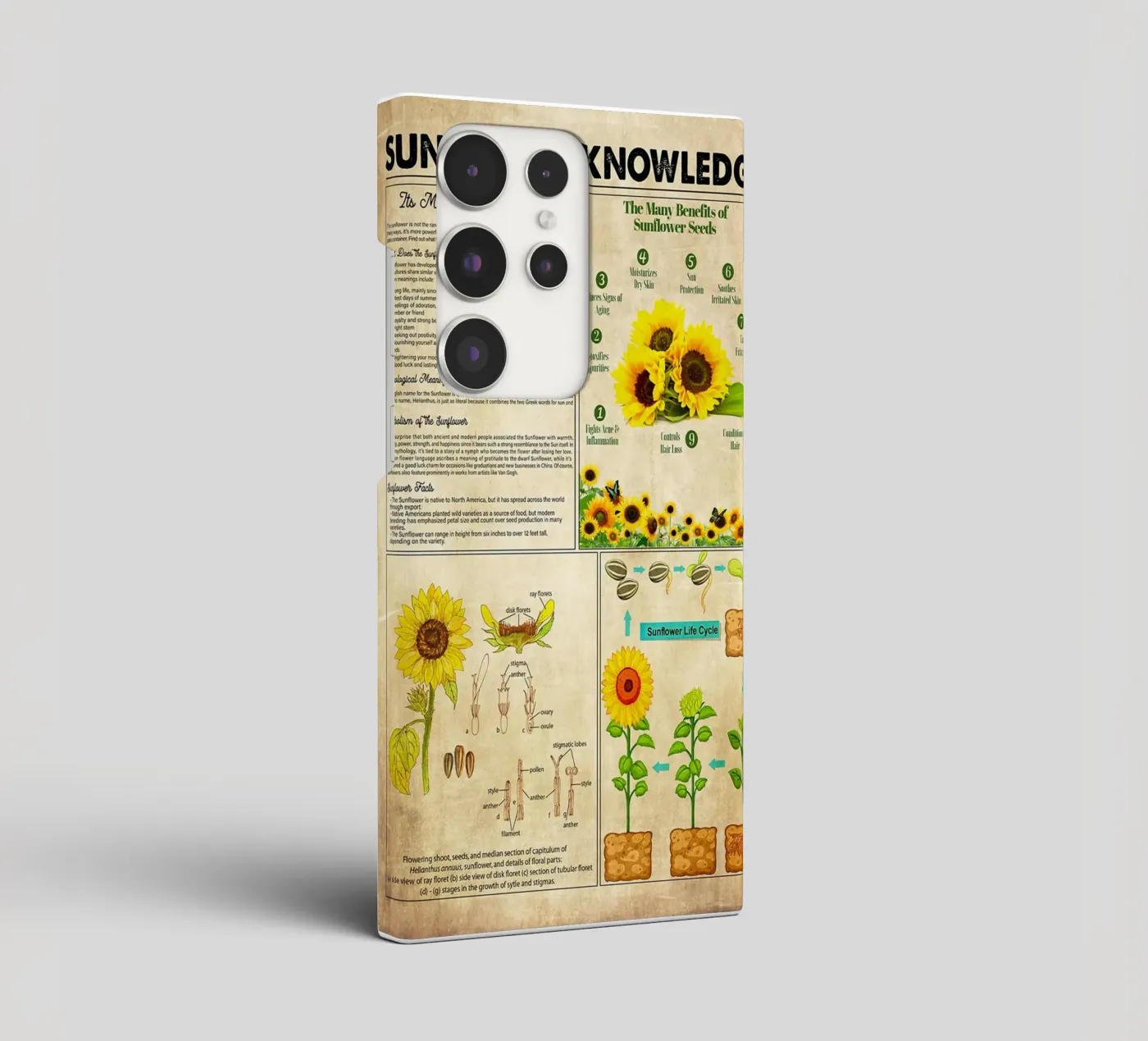 Sunflower Knowledge cover samsung da Maritiknowled