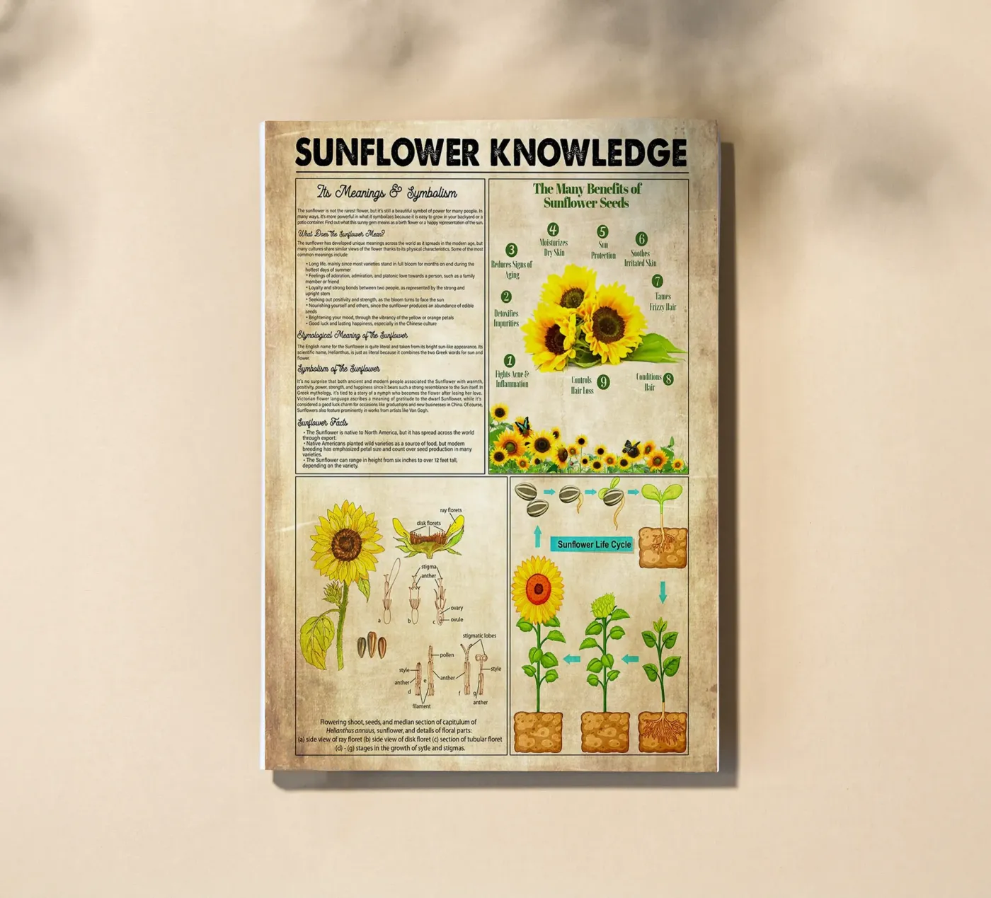 Sunflower Knowledge notebook by Maritiknowled