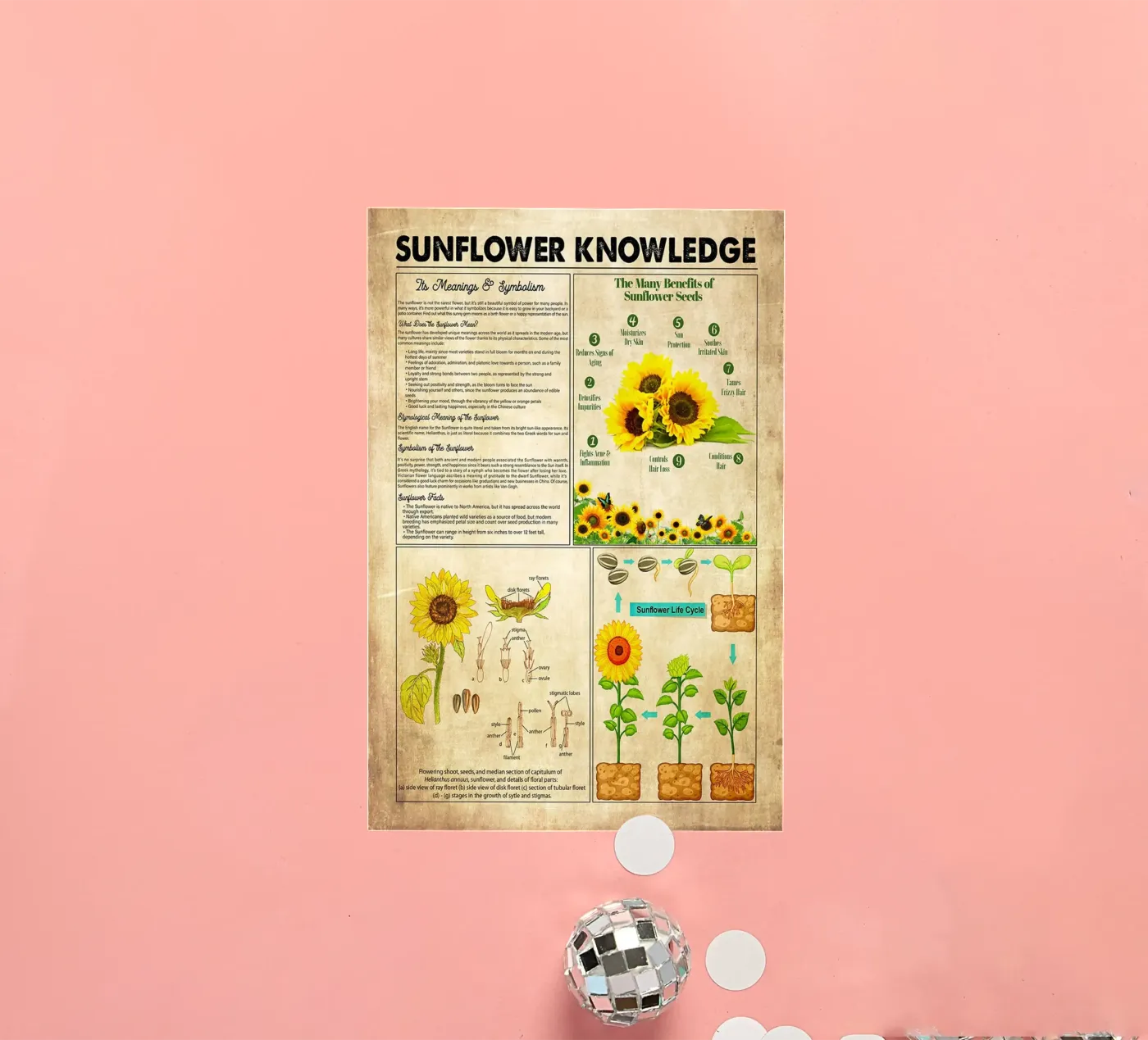Sunflower Knowledge sticker by Maritiknowled
