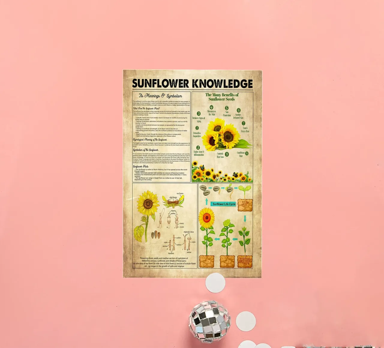 Sunflower Knowledge sticker by Maritiknowled