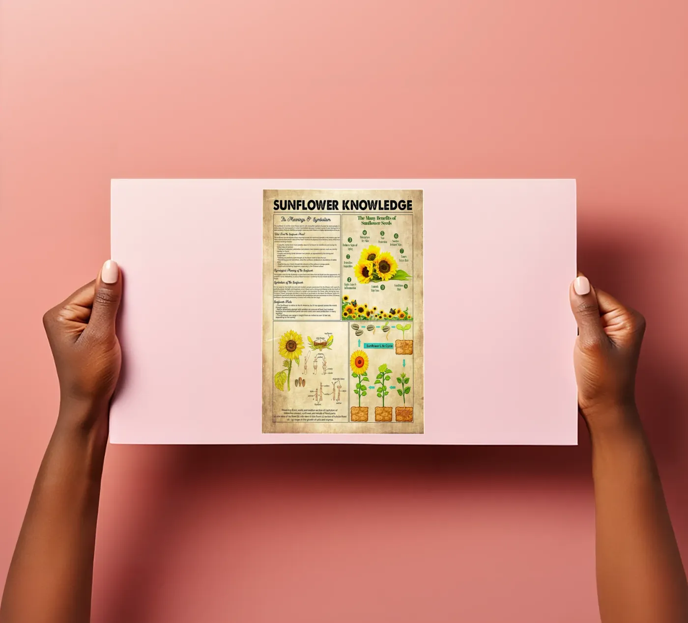 Sunflower Knowledge sticker sheet by Maritiknowled