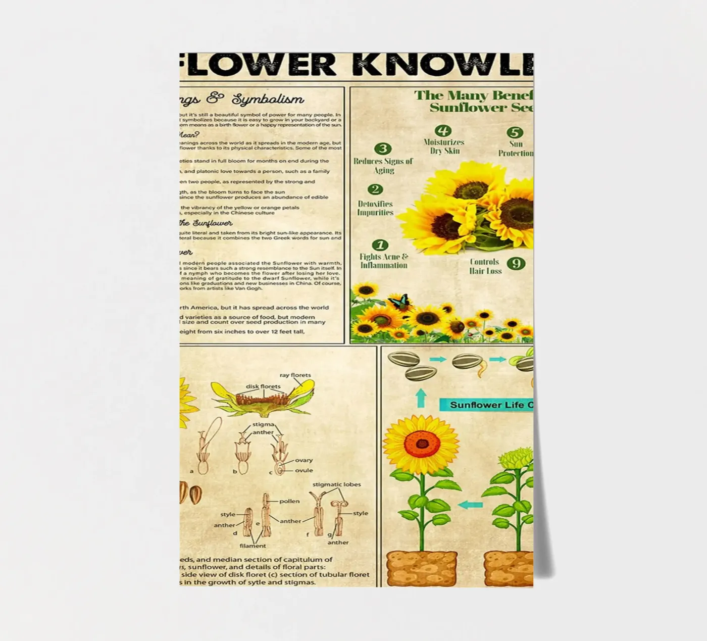 Sunflower Knowledge sticker sheet by Maritiknowled