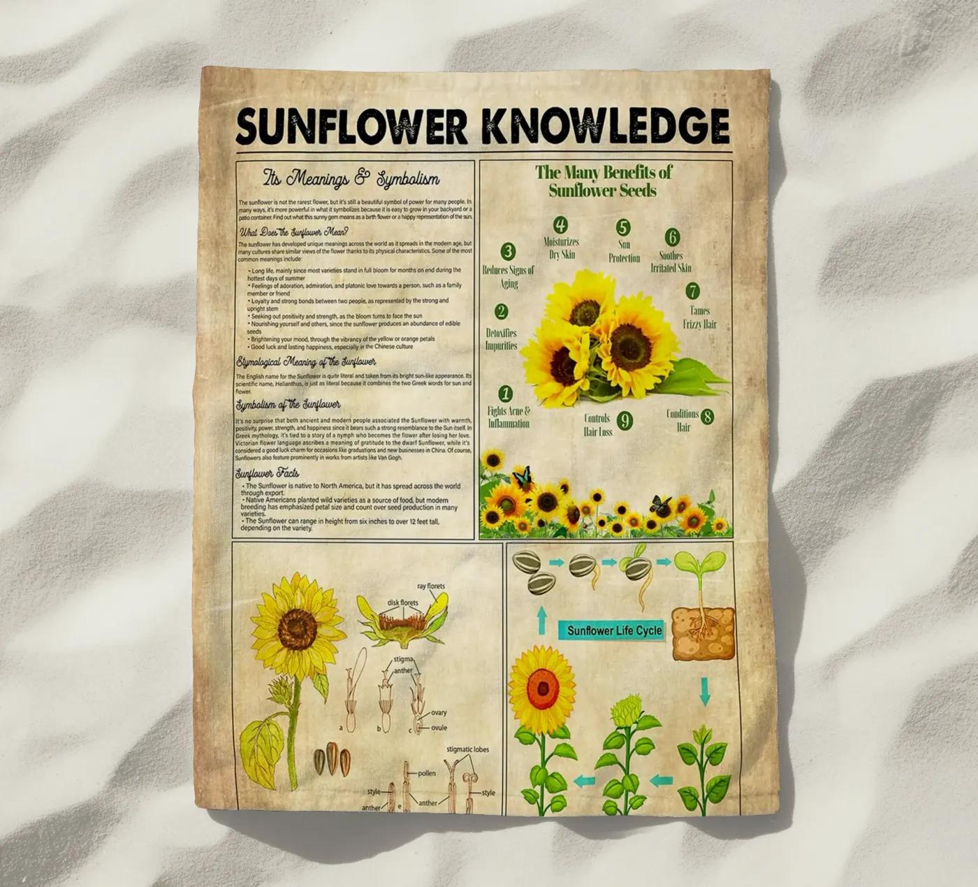 Sunflower Knowledge telo mare da Maritiknowled
