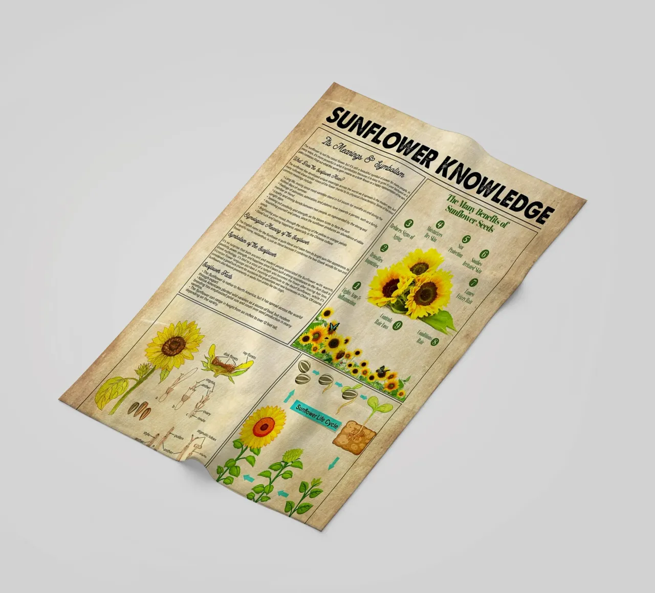 Conoscenza del girasole telo mare da Maritiknowled