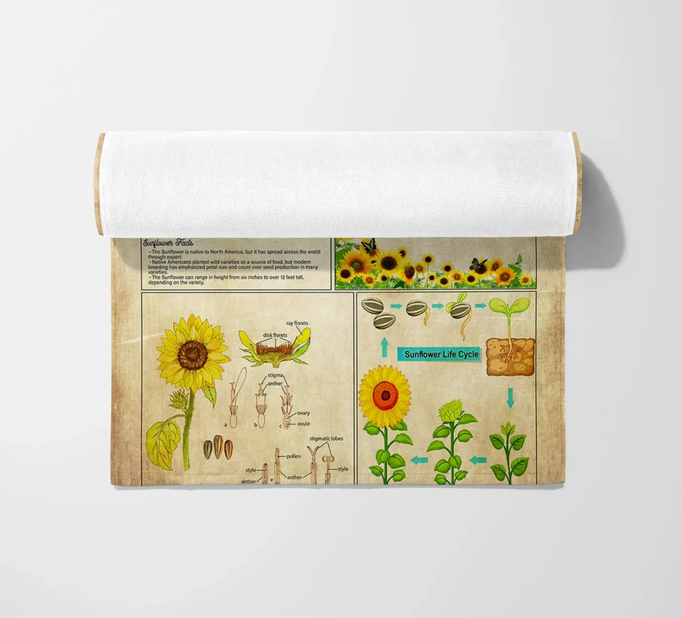 Sunflower Knowledge telo mare da Maritiknowled