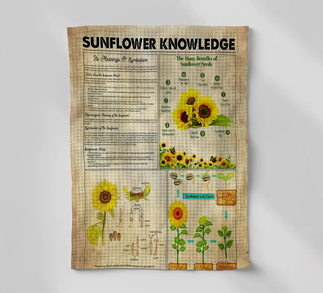 Sunflower Knowledge torchon de Maritiknowled