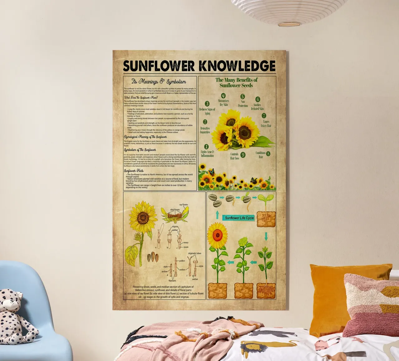 Conoscenza del girasole plexiglass da Maritiknowled