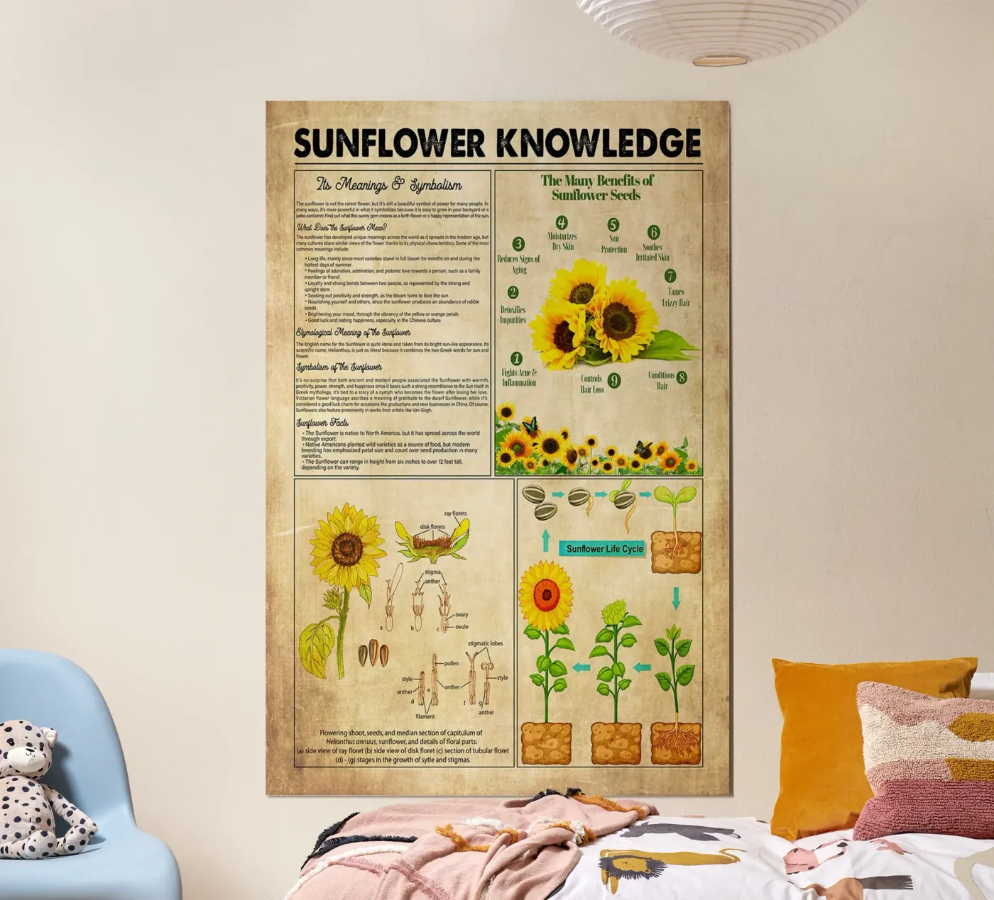 Sunflower Knowledge poster by Maritiknowled