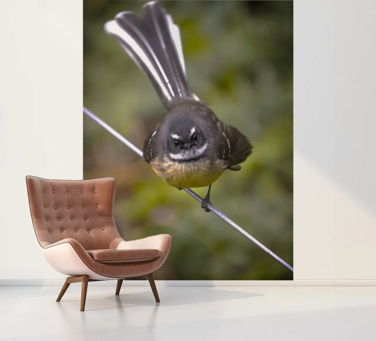 petit oiseau en queue de pie papier peint photo de animal story home