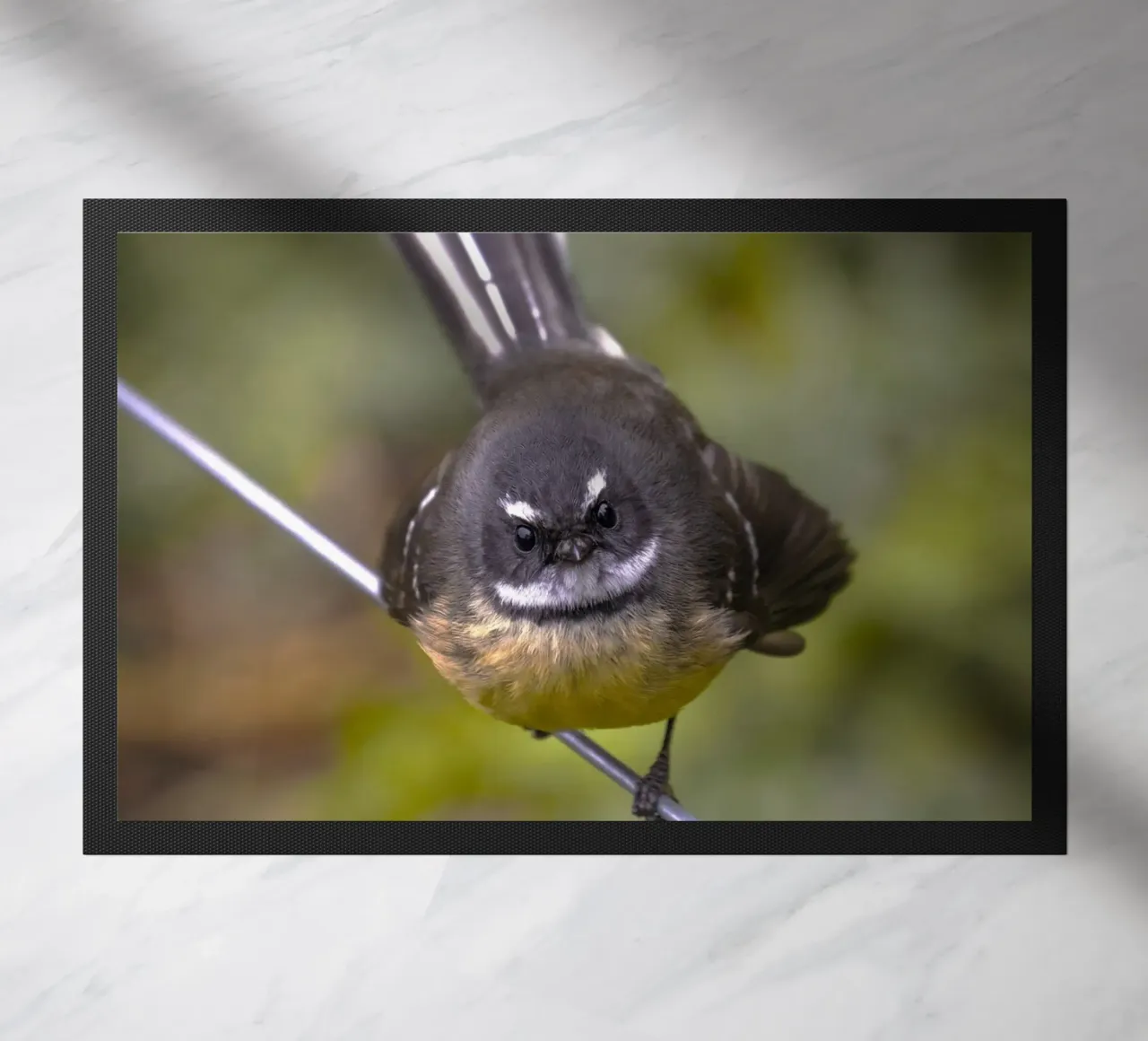 piccolo uccello in fantail zerbino da animal story home