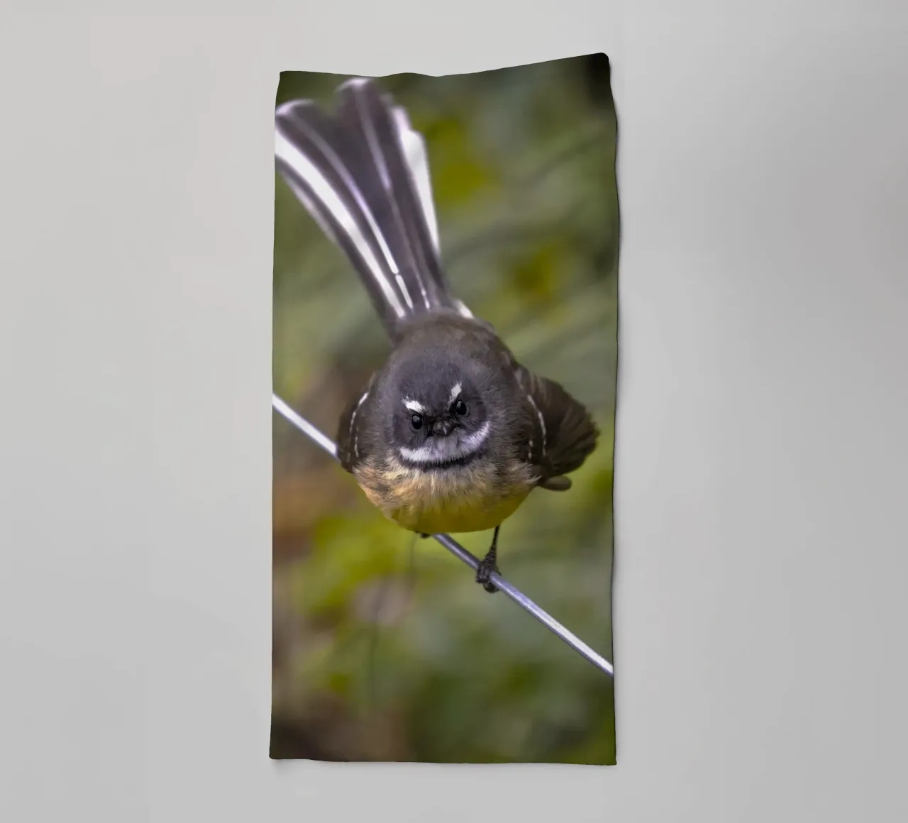 piccolo uccello in fantail asciugamano da bagno da animal story home