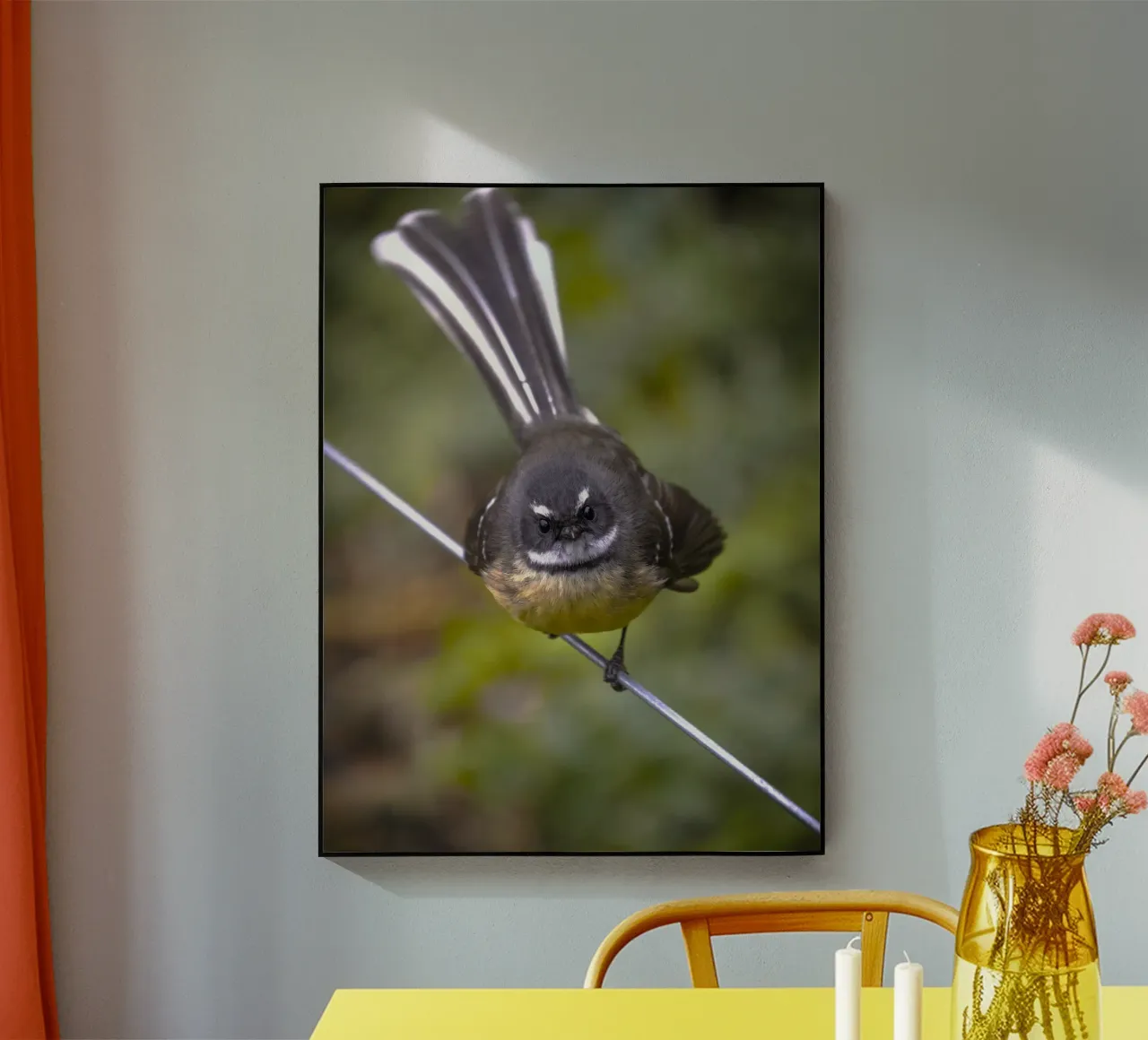 piccolo uccello in fantail plexiglass da animal story home