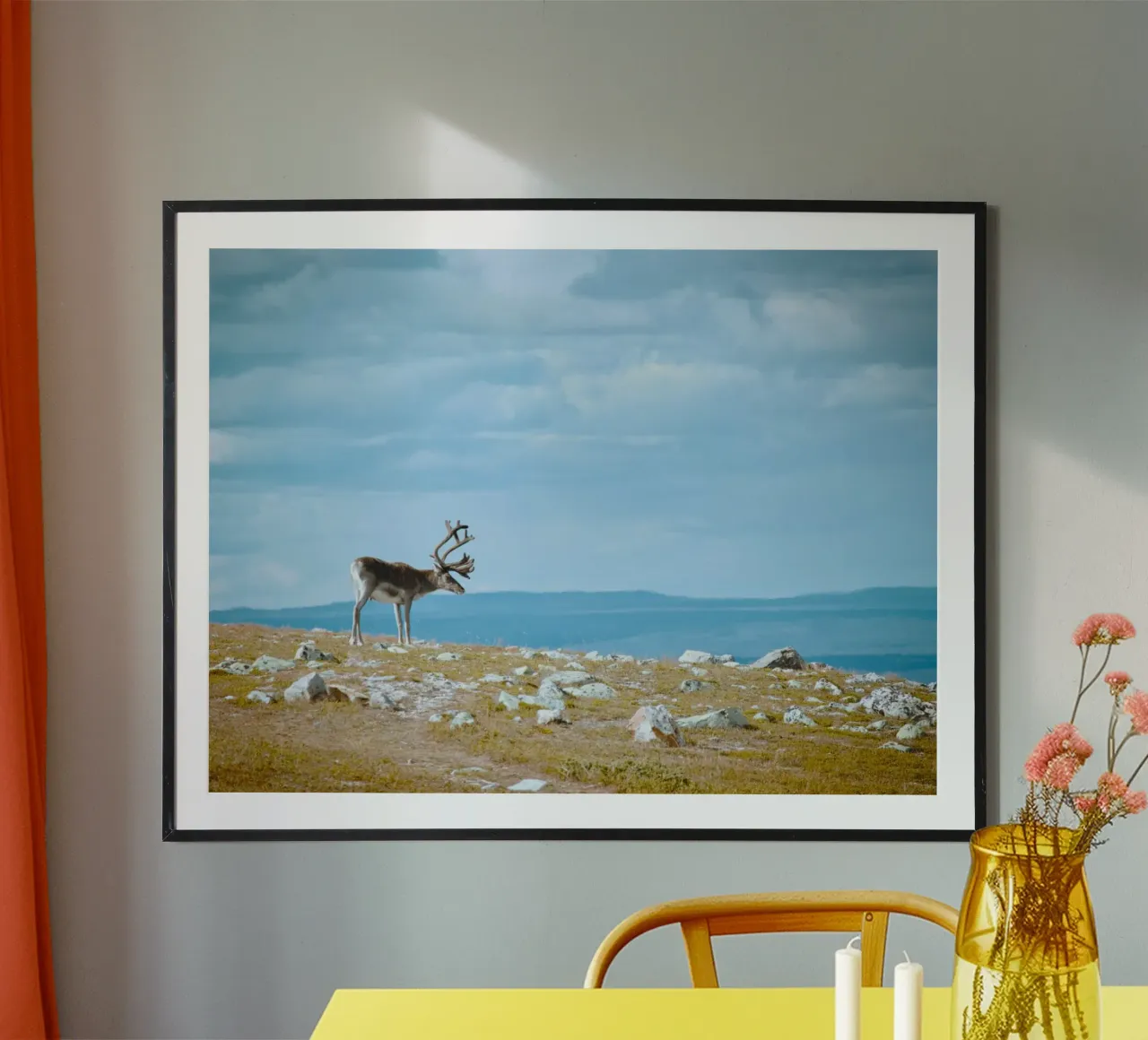 renne natura poster da animal story home