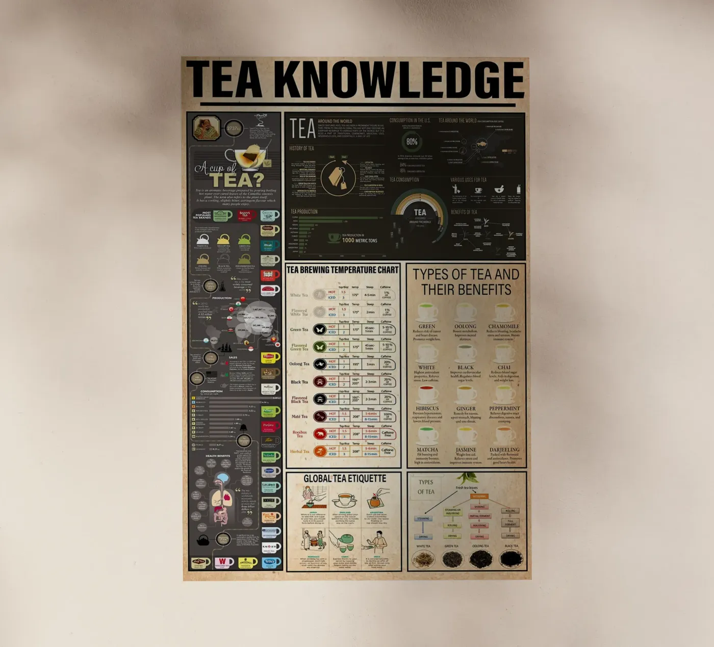 Tea Knowledge backlit film by Maritiknowled