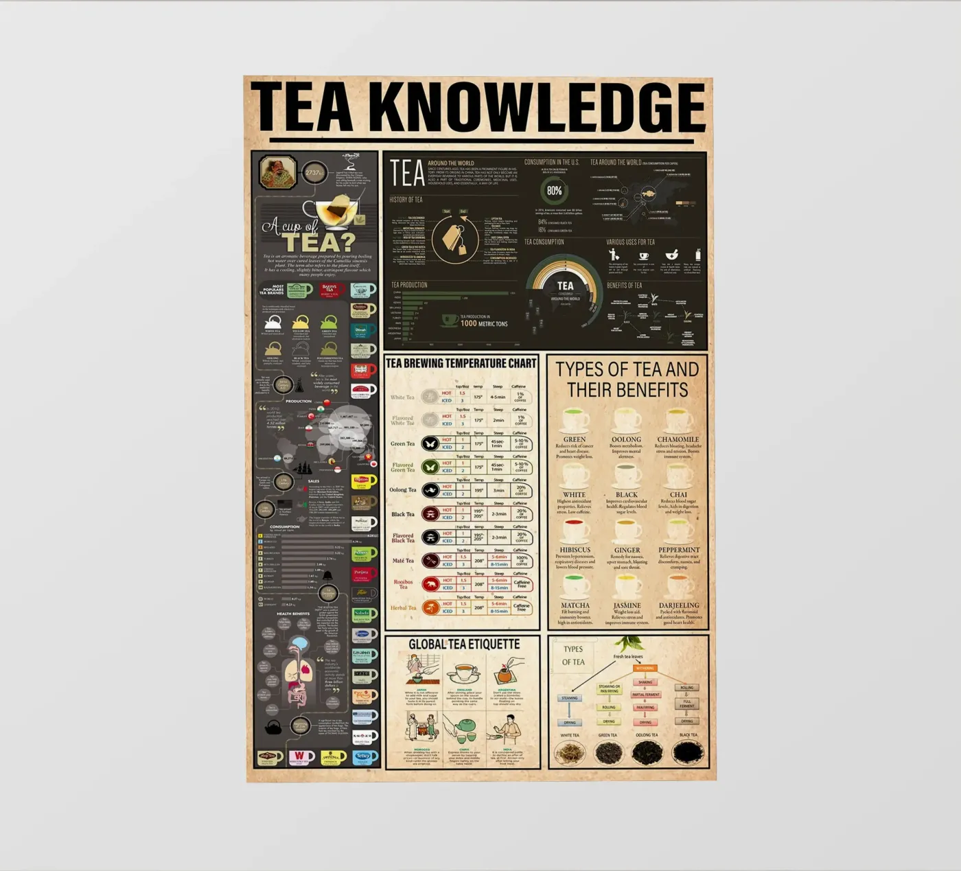 Tea Knowledge backlit film by Maritiknowled