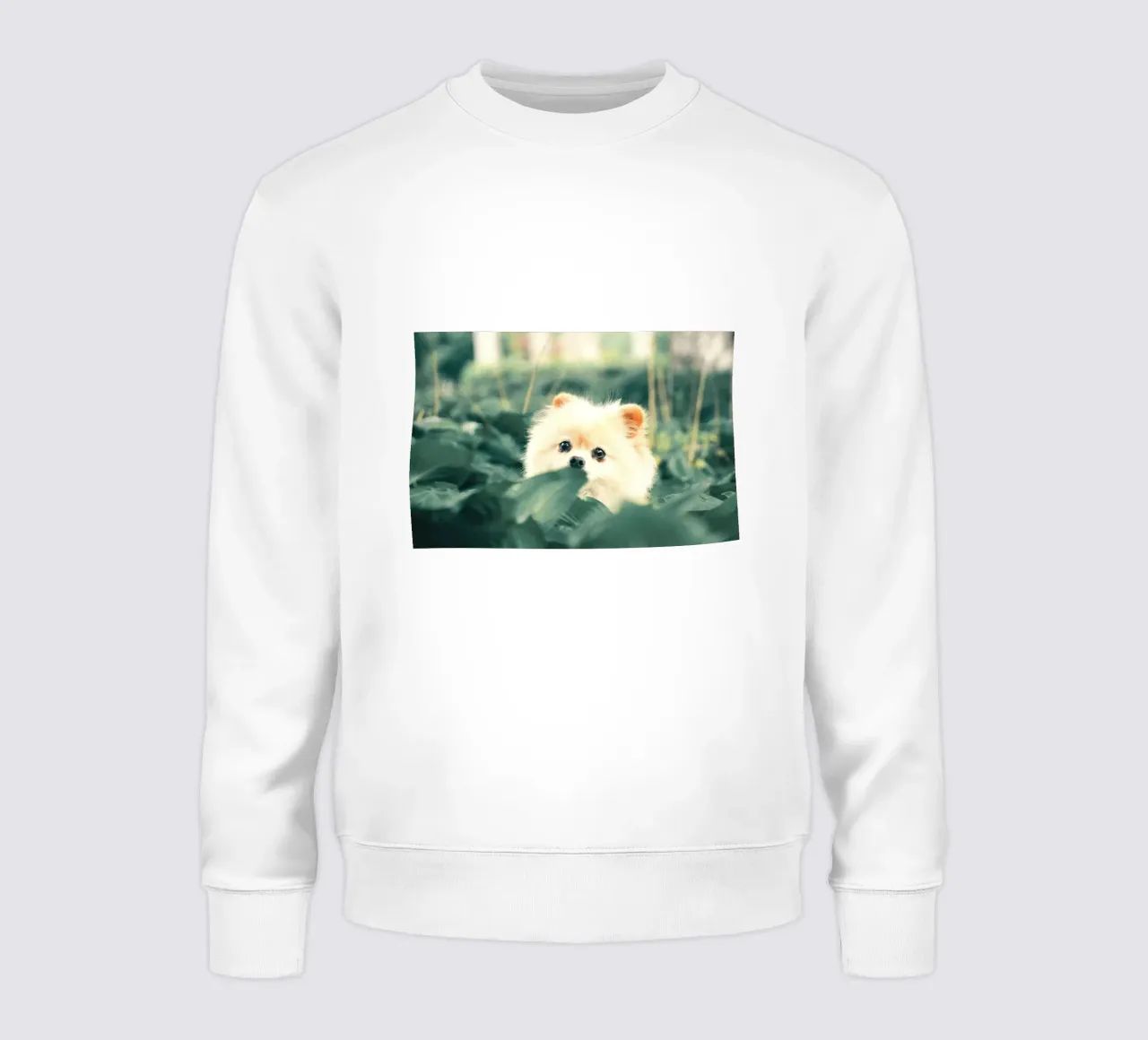 cane pomerania in giardino felpa da animal story home