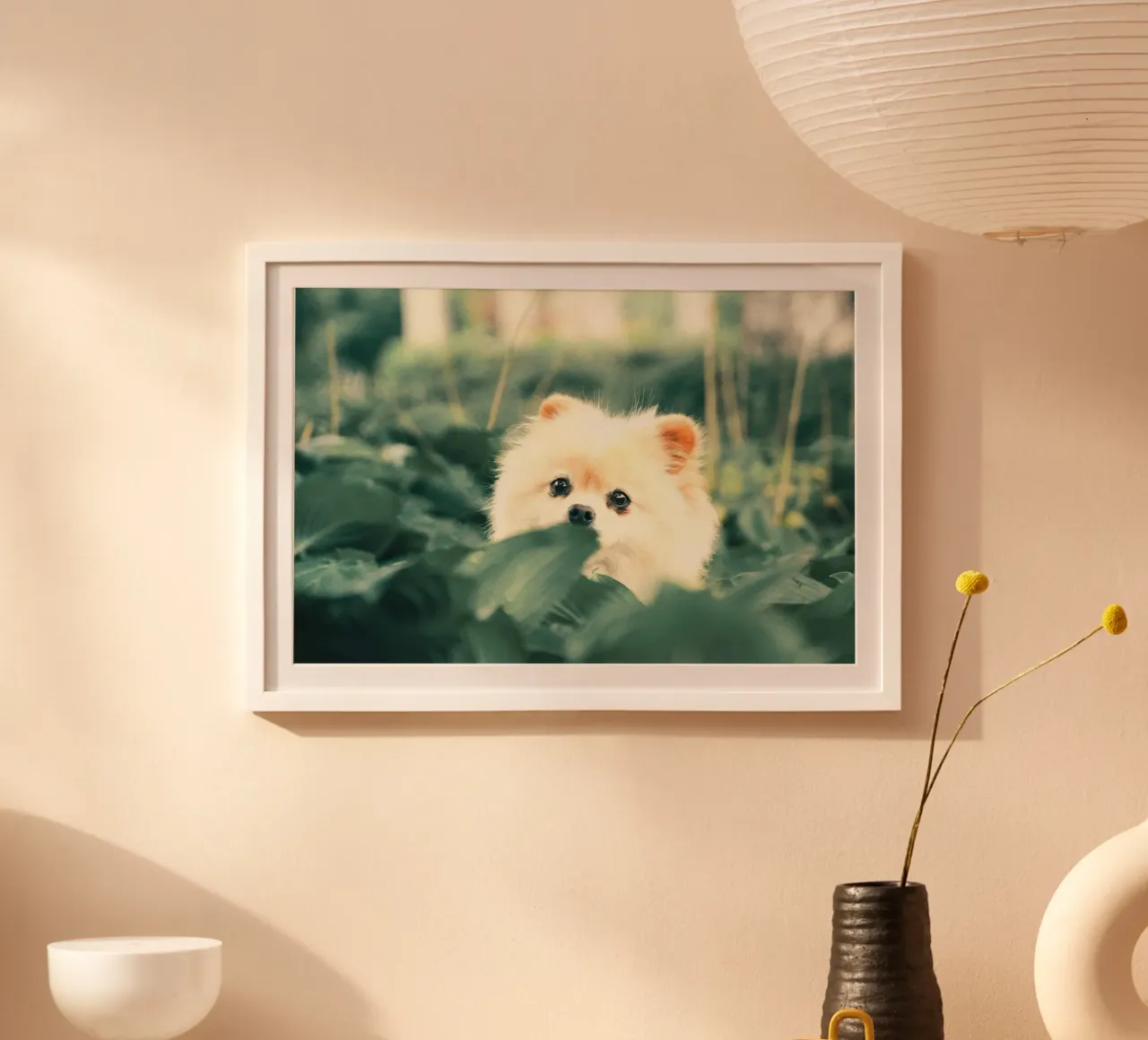 cane pomerania in giardino poster da animal story home