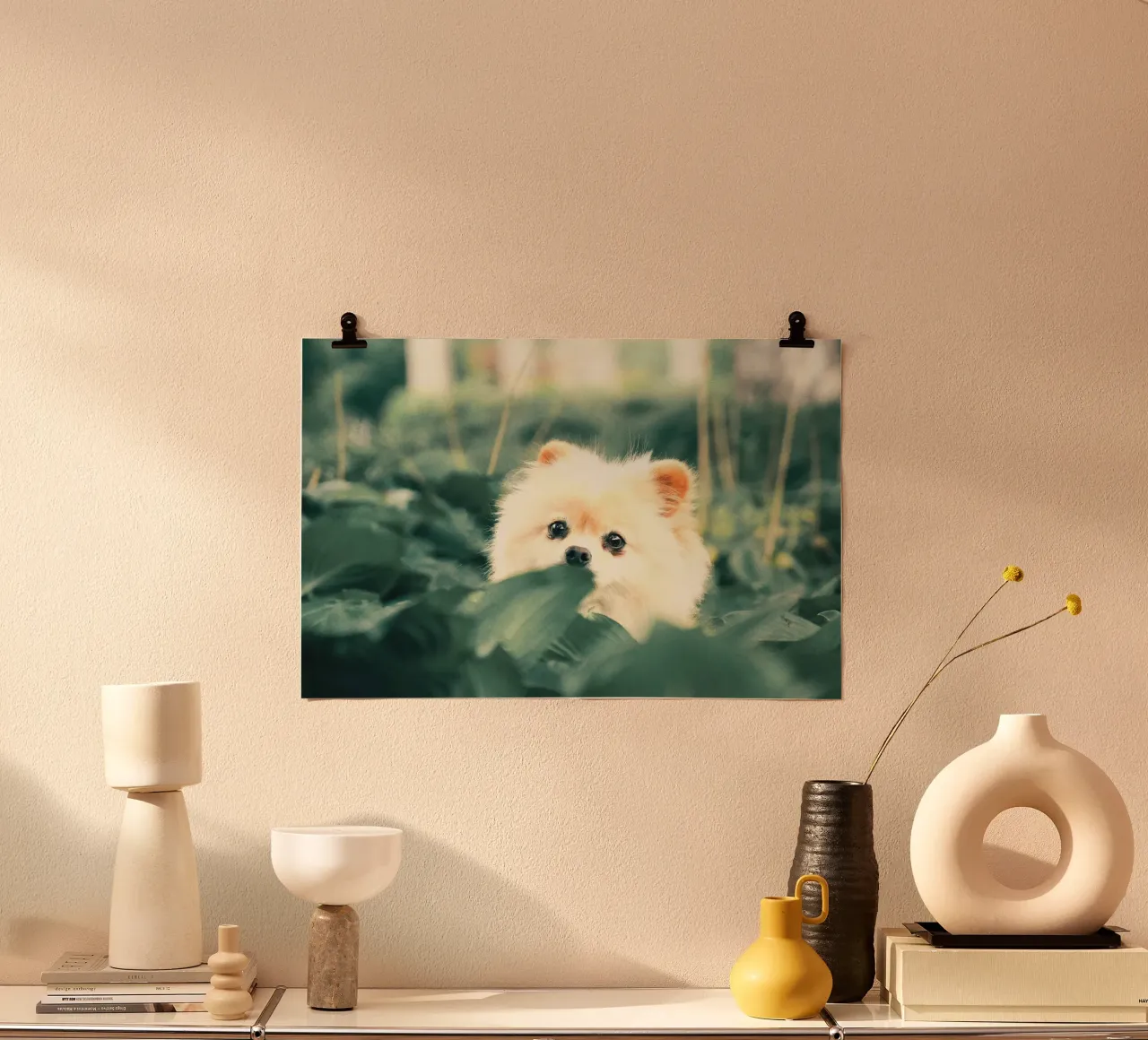 cane pomerania in giardino poster da animal story home