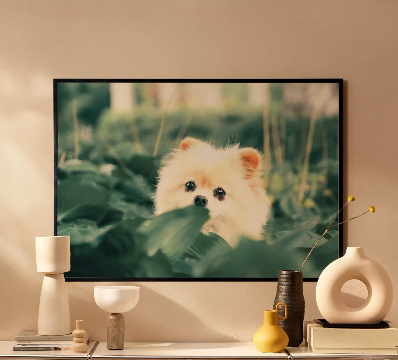 cane pomerania in giardino poster da animal story home