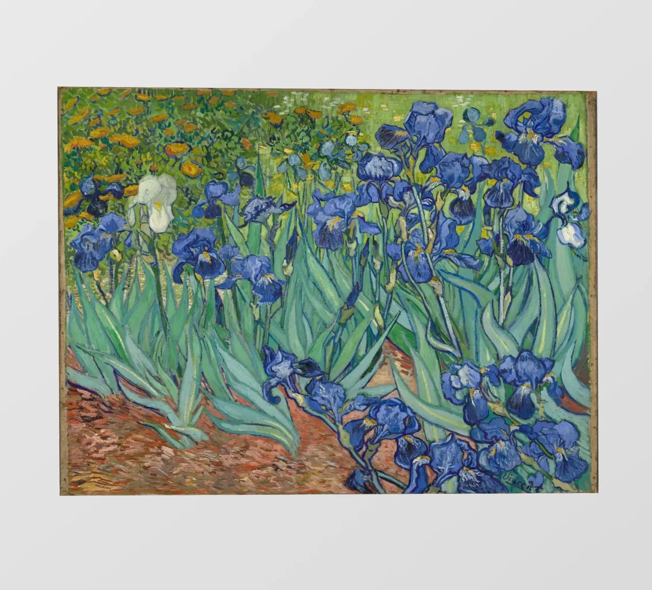 Iris - Vincent van Gogh telo in pvc da Sylviepaint