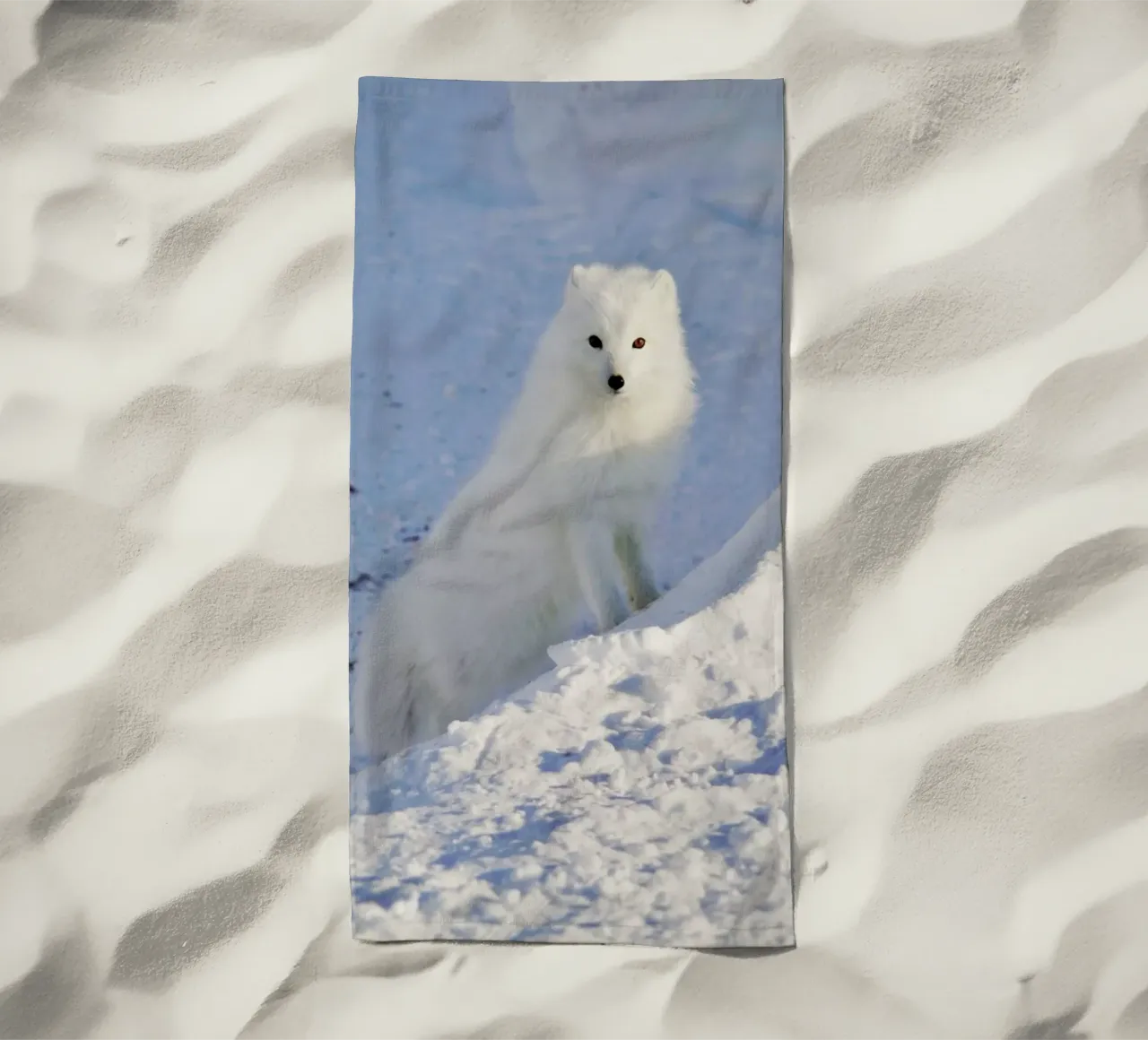 Arctic Fox telo mare da EyeEm Mobile GmbH