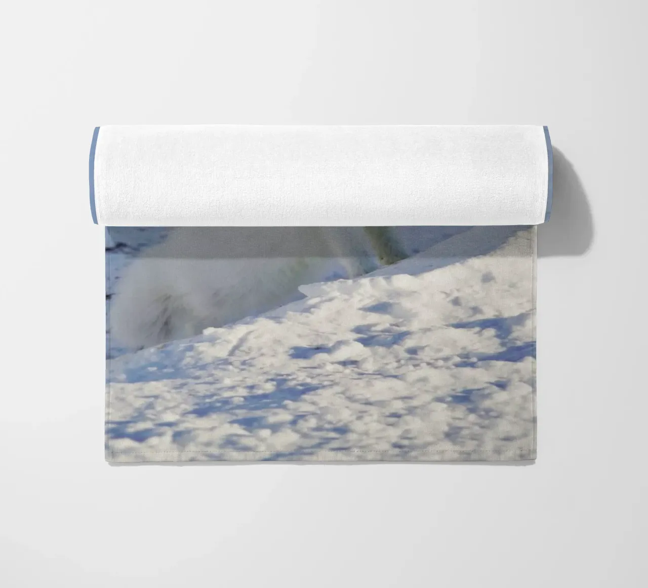 Arctic Fox telo mare da EyeEm Mobile GmbH