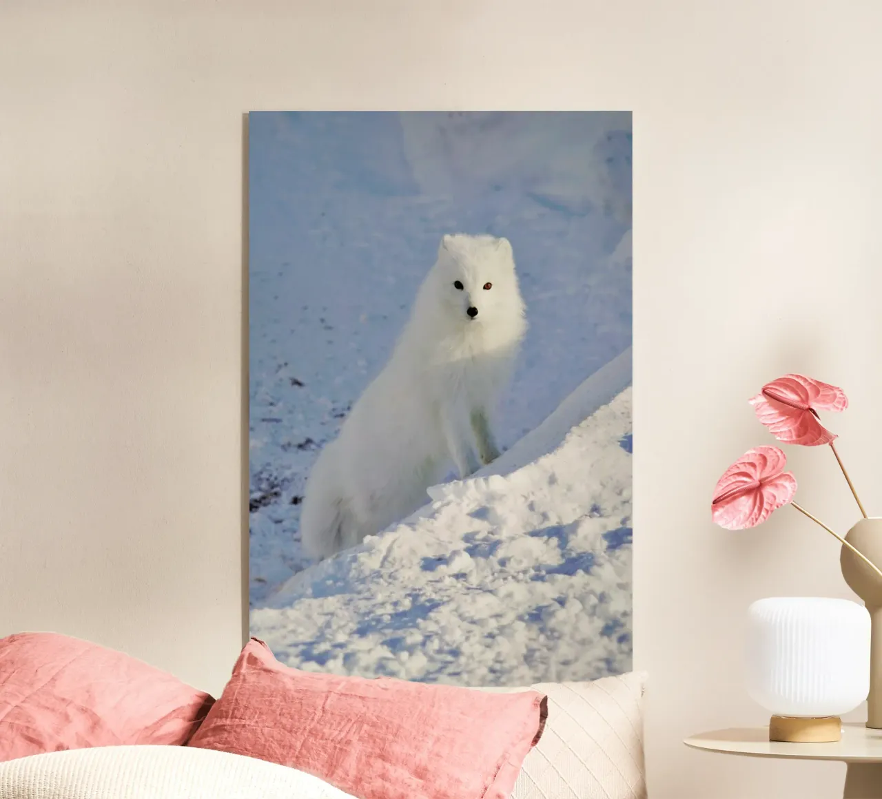 Arctic Fox acrylic glass by EyeEm Mobile GmbH