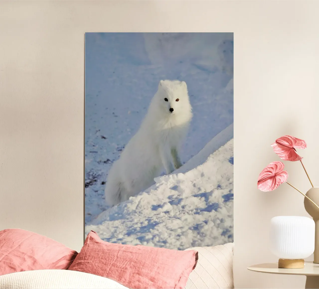 Arctic Fox poster da EyeEm Mobile GmbH