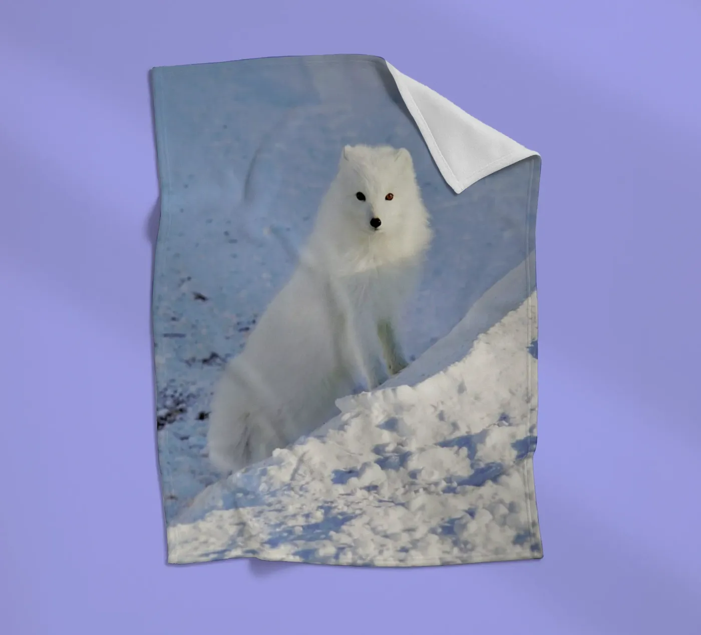 Arctic Fox fleecedeken van EyeEm Mobile GmbH