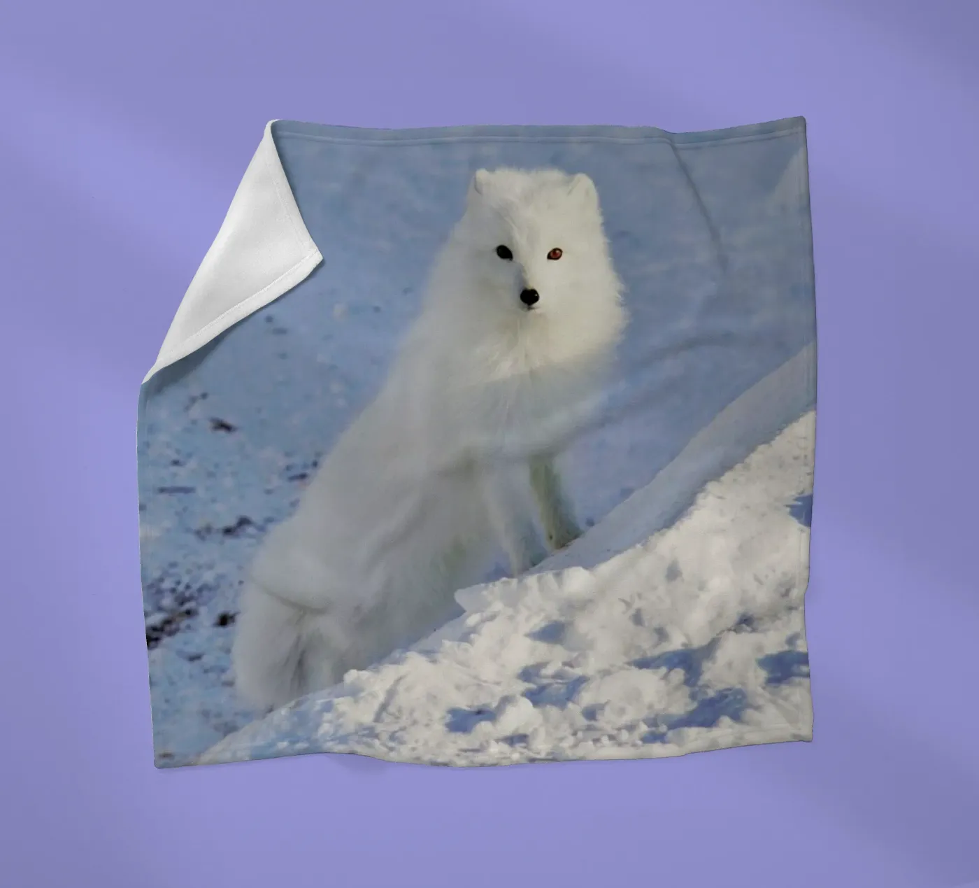 Arctic Fox fleecedeken van EyeEm Mobile GmbH