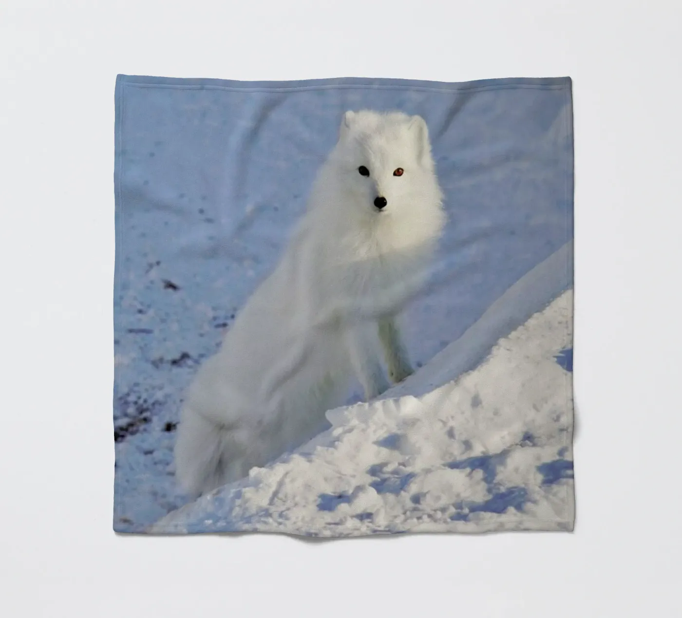 Arctic Fox fleecedeken van EyeEm Mobile GmbH