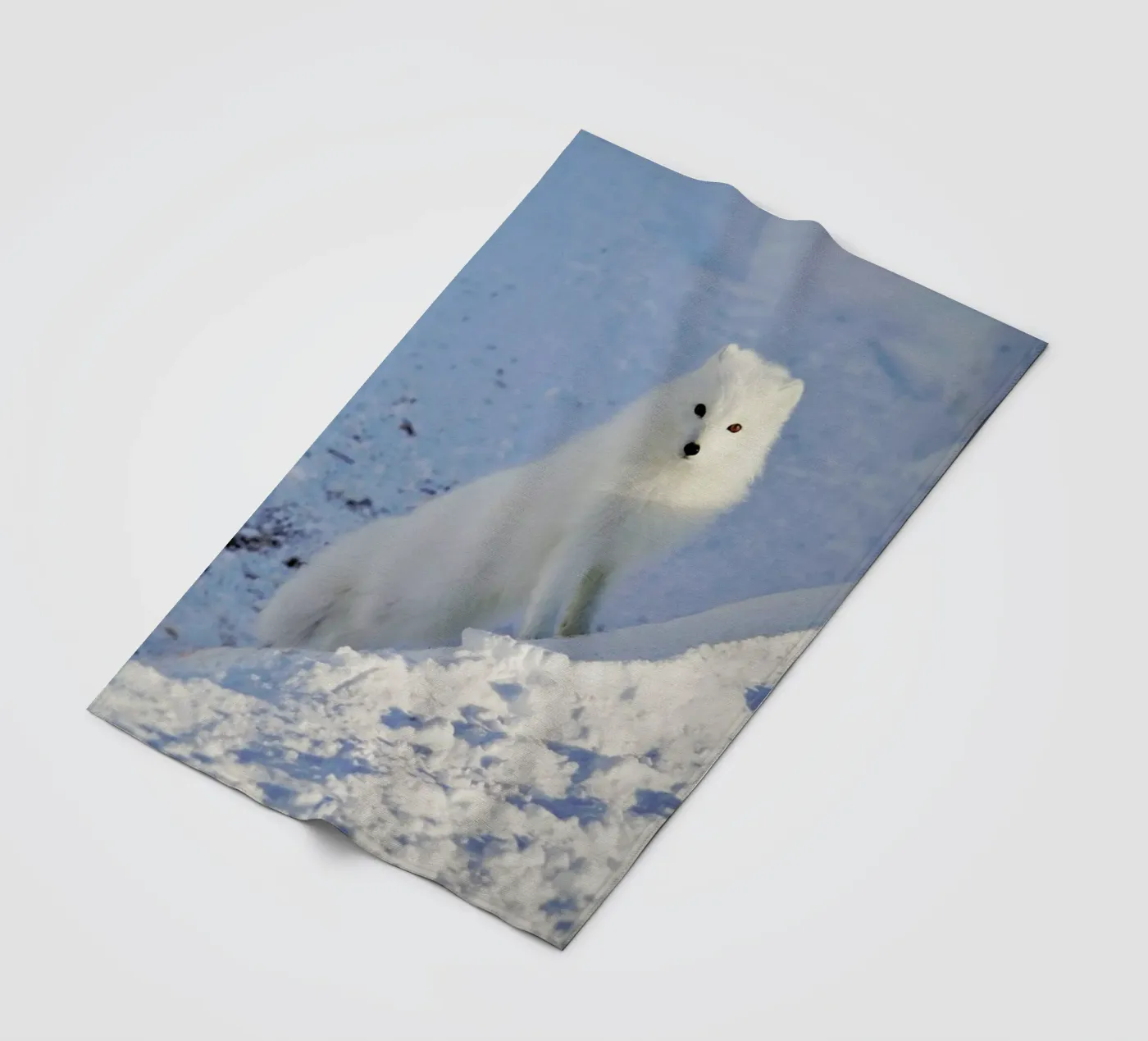 Arctic Fox fleecedeken van EyeEm Mobile GmbH