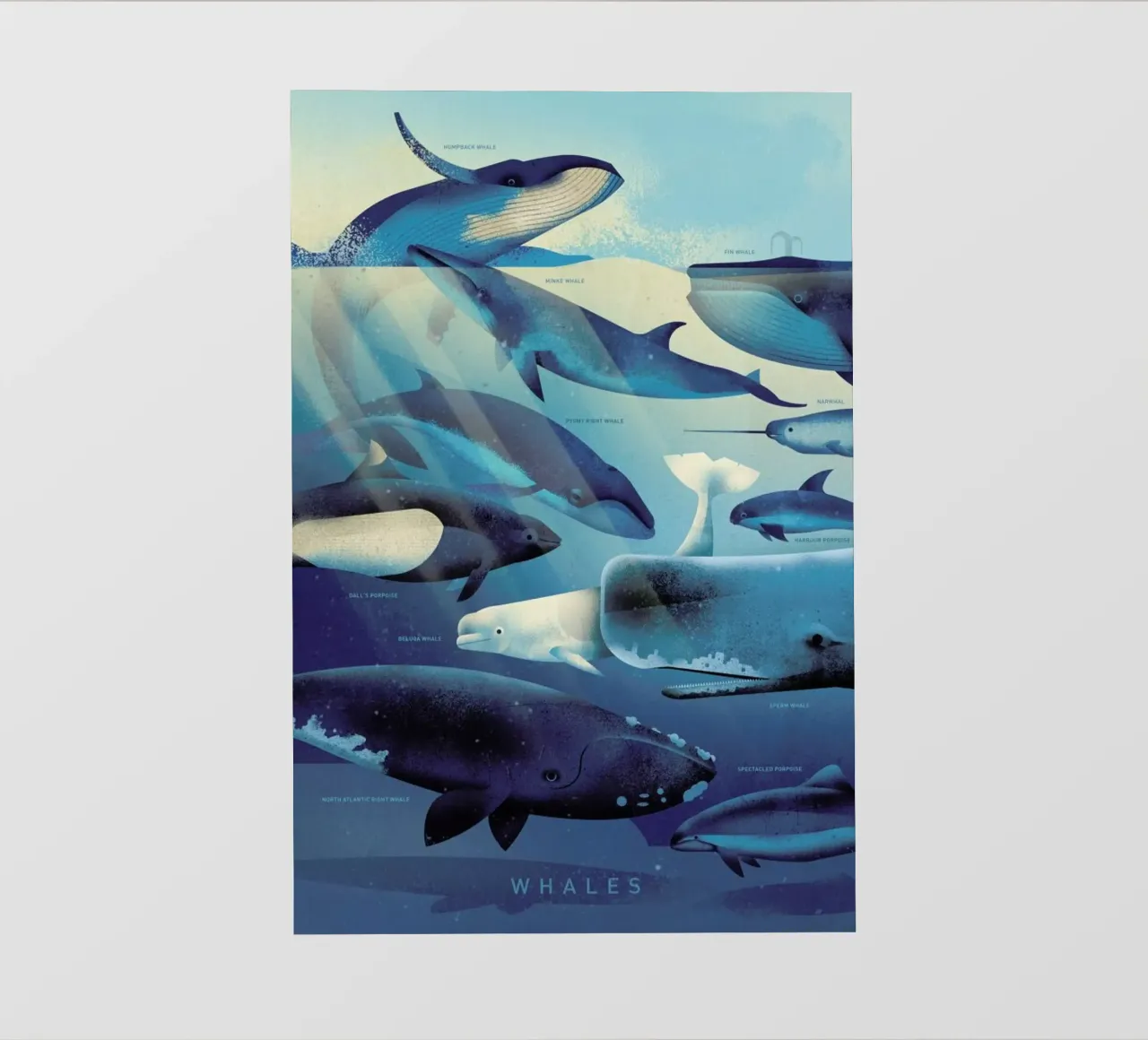 Whales pellicola backlit da Dieter Braun